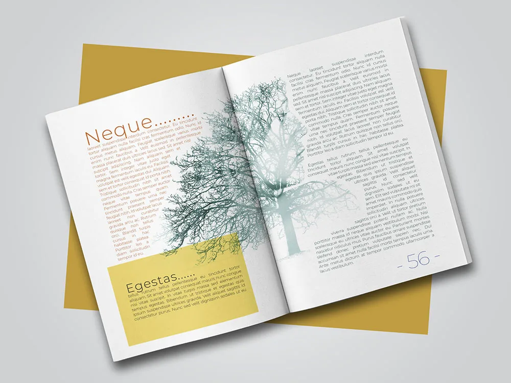 Book Formatting